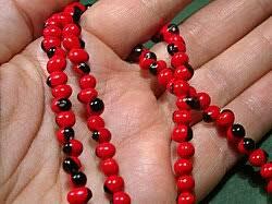 Abrus precatorius perles