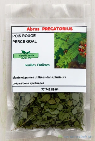 Abrus precatorius