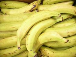 banane-plantain-01.jpg